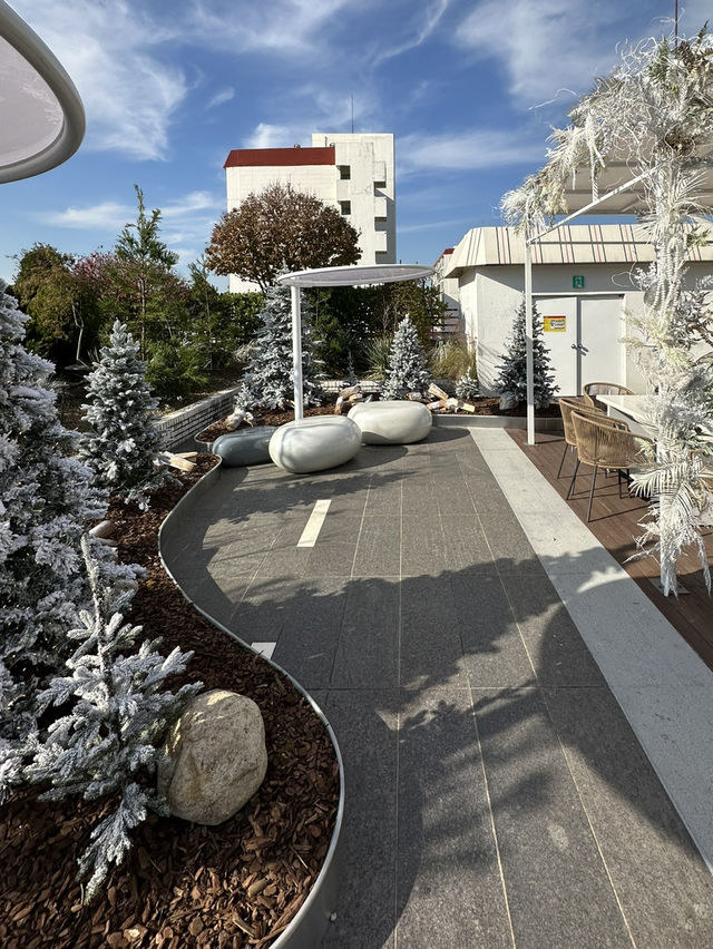 🎄크리스마스 분위기 물씬 풍기는 🌟강남구 청담동 여행지 추천 ❤️