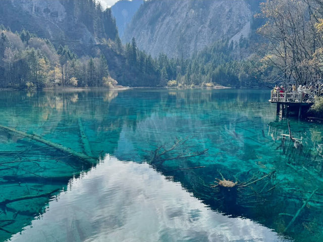 Enchanted by Jiuzhai Valley: A Journey Through Nature’s Wonderland