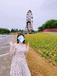 【千葉県袖ヶ浦市】東京ドイツ村