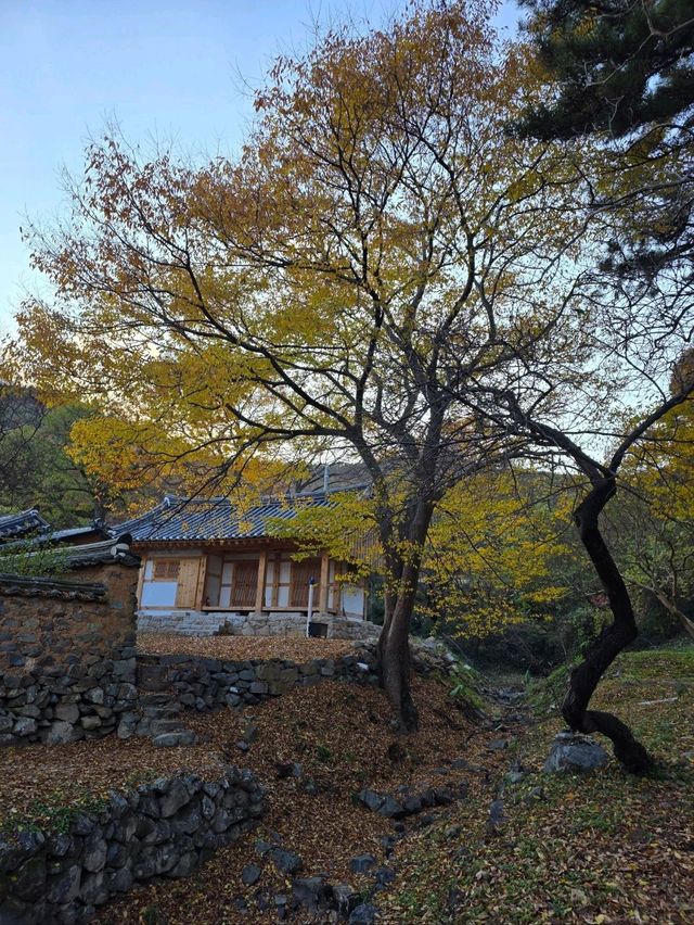 밀양에서 보낸 아름다운 가을의 마무리💛