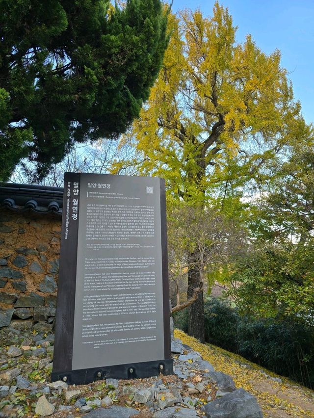 밀양에서 보낸 아름다운 가을의 마무리💛