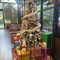 🎄คาเฟ่อเมซอน ปตท.หนองอ้อ อ.มะขาม จันทบุรี 