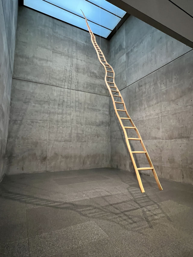 ［沃斯堡旅行］Modern Art Museum of Fort Worth-現代藝術的薰陶🎨