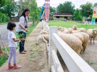 ฟาร์มแกะทหารช่าง 🐑 