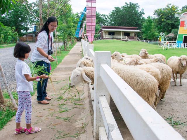 ฟาร์มแกะทหารช่าง 🐑 