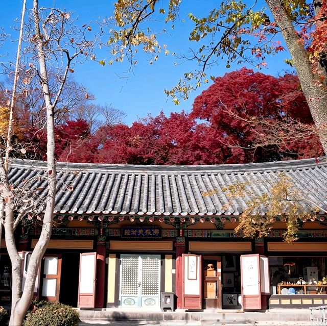 韓國大邱_Bulguksa 불국사 佛國寺_韓國國寶502號