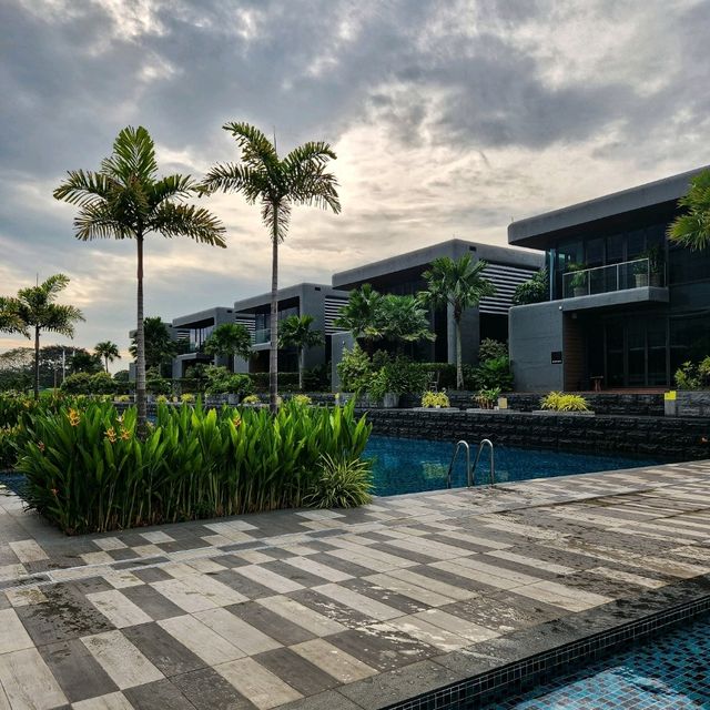 Plane-Watching by the Pool?
