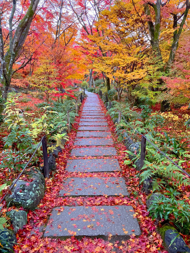 京都紅葉🍁嵯峨野の紅葉の名所🍁宝筐院🥰