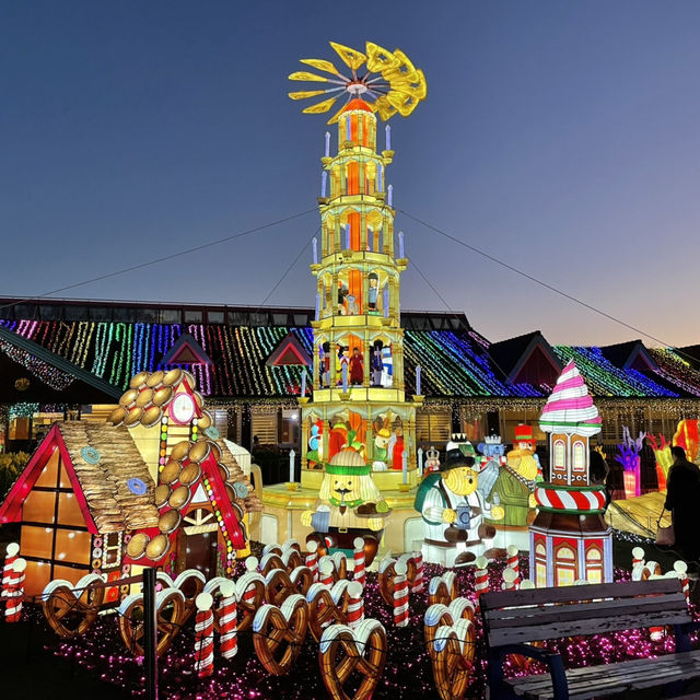 東京ドイツ村・ウィンターイルミネーション🎄