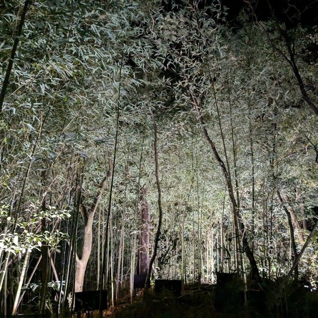 【チームラボ】茨城県北茨城市　幽谷陰田跡