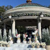 【The Best Time of The Year🎄】ディズニークリスマス