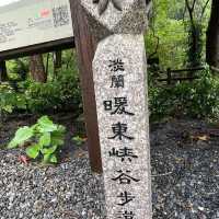 基隆的親水森林步道