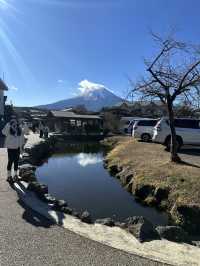 🇯🇵忍野八海｜遊富士山融雪湧泉🏔️
