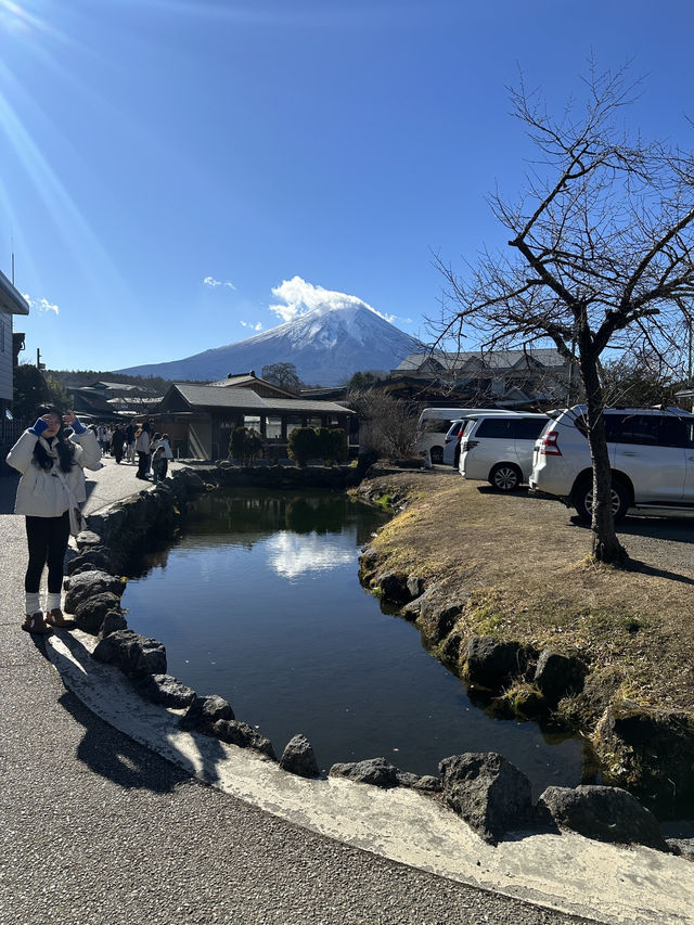 🇯🇵忍野八海｜遊富士山融雪湧泉🏔️