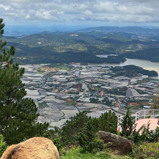 랑비앙산 달랏