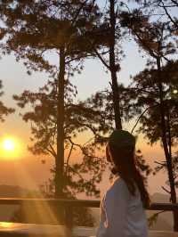  ทริปสายคอนเทนต์ต้องมา! ดอยอ่างขาง เชียงใหม่