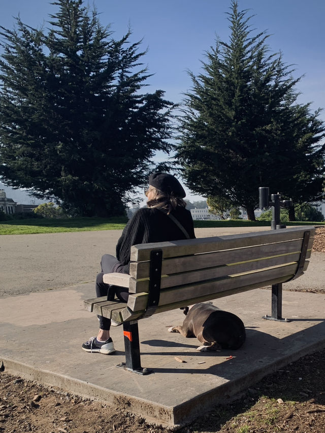 아름다운 샌프란을 한눈에 보고싶다면 이곳으로 가세요✨