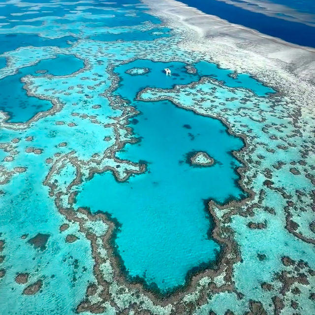 Soaring Above and Diving Below: My Spectacular Day at the Great Barrier Reef!