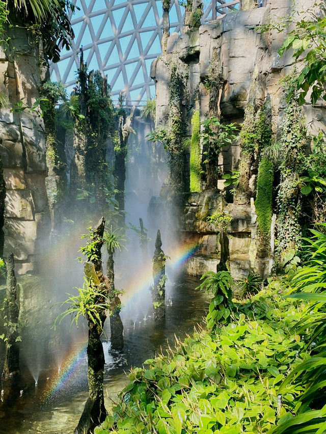 열대 우림을 그대로 옮겨놓은 듯한 ‘거제 정글돔’ 🌳