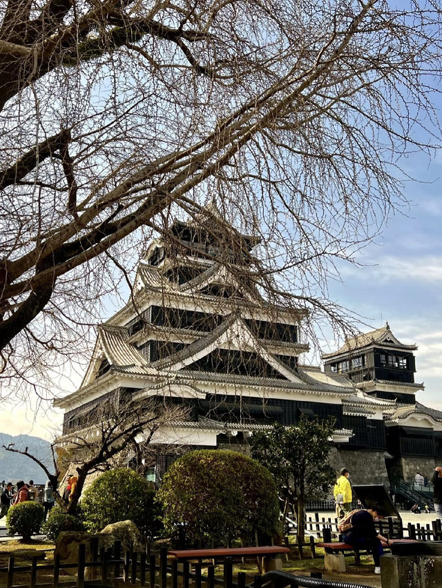 Kumamoto: A Town of Castles and Bears 