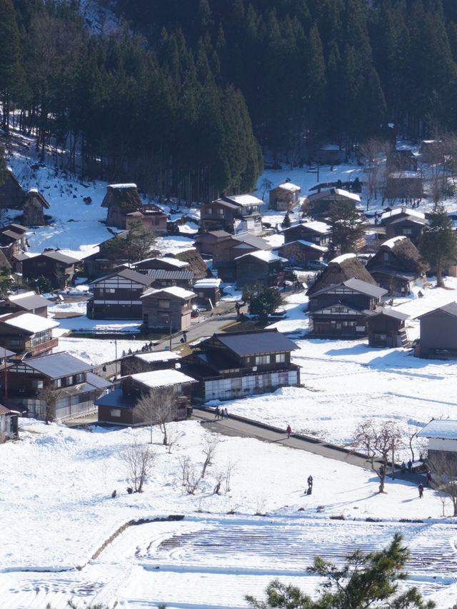 【飛騨高山×白川郷】世界遺産白川郷合掌集落が一望できるスポット