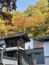 名古屋香積寺-鳥居、寺廟、紅葉與藍天，構成絕美畫面