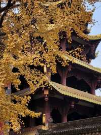 ✨Baolun temple Chongqing