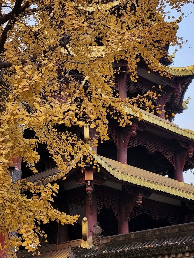 ✨Baolun temple Chongqing