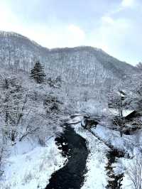 【栃木×湯西川温泉】囲炉裏でいただく平家鷹狩料理  窓からの雪景色が素晴らしく