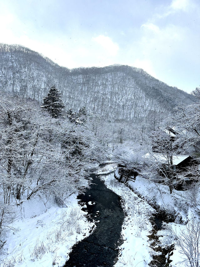 【栃木×湯西川温泉】囲炉裏でいただく平家鷹狩料理  窓からの雪景色が素晴らしく