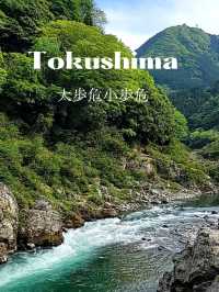 【徳島観光スポットは渦潮だけでない！】