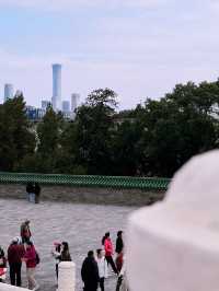 The Temple of Heaven Park in fall🍁