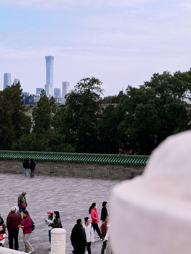 The Temple of Heaven Park in fall🍁