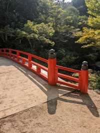 【広島県】宮島ロープウェイ〜弥山からの絶景〜