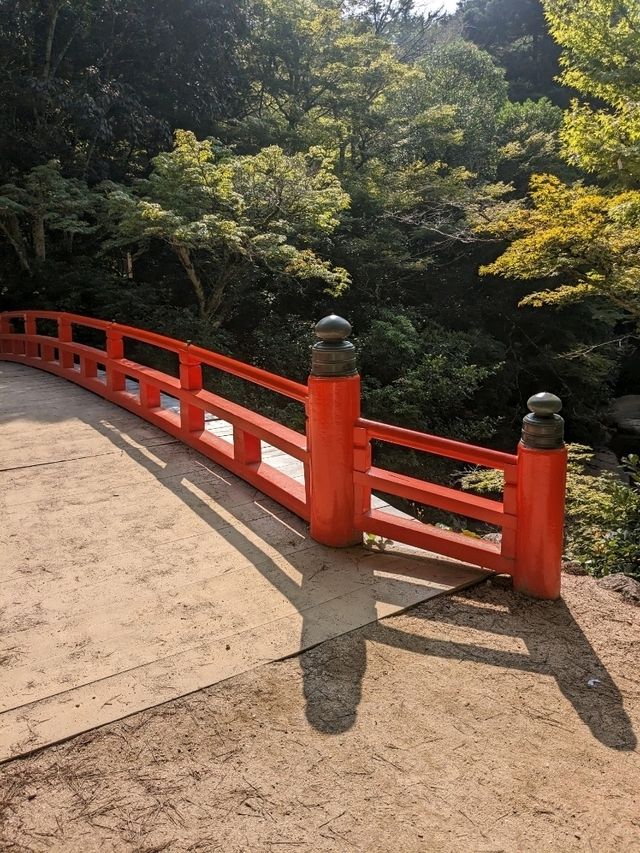 【広島県】宮島ロープウェイ〜弥山からの絶景〜
