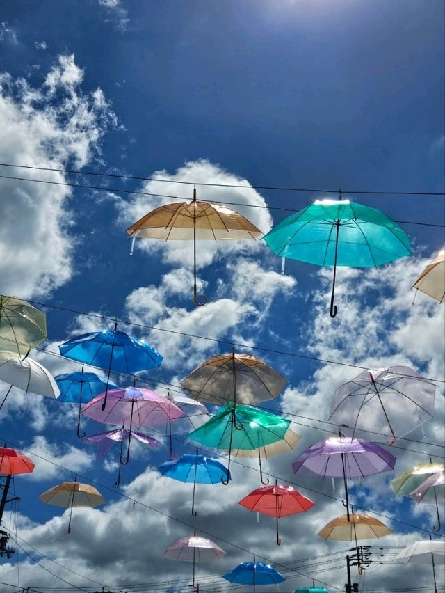 【青い空にカラフルな傘が揺れる】
