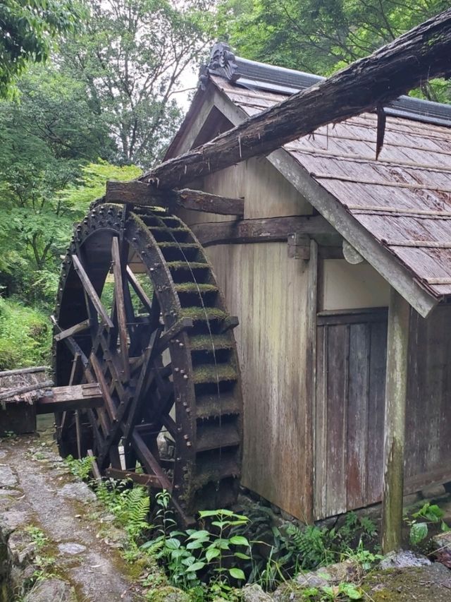 【山道を上がっていくと、突如現れる神秘的な絶景スポット】