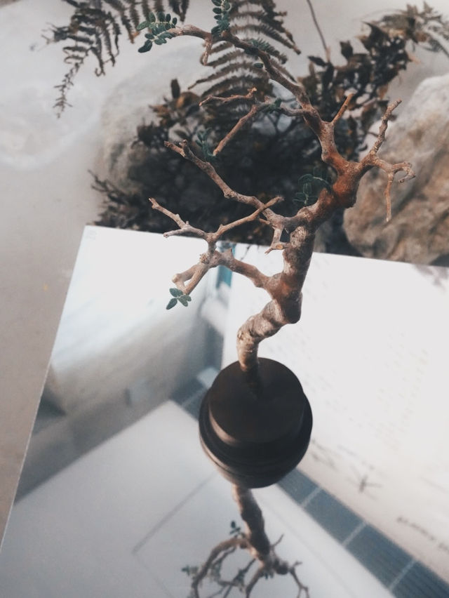 南投最美美術館 九九峰山腳下的藝術秘境