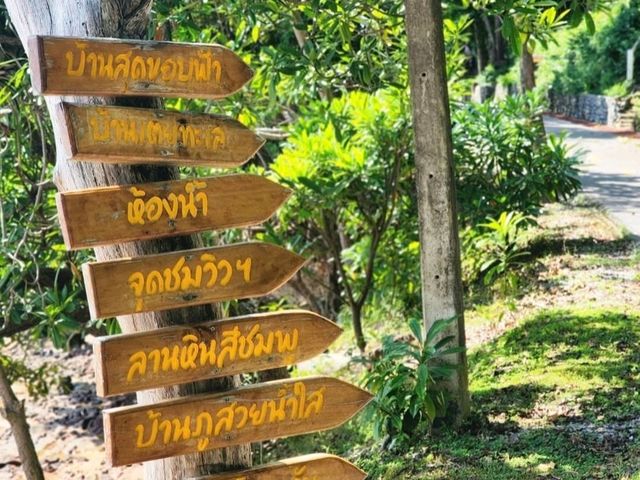 ลานหินสีชมพู  (𝚃𝚑𝚎 𝙿𝚒𝚗𝚔 𝙲𝚘𝚊𝚜𝚝) 💢