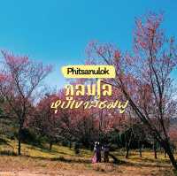 ภูลมโล (อุทยานภูหินร่องกล้า)