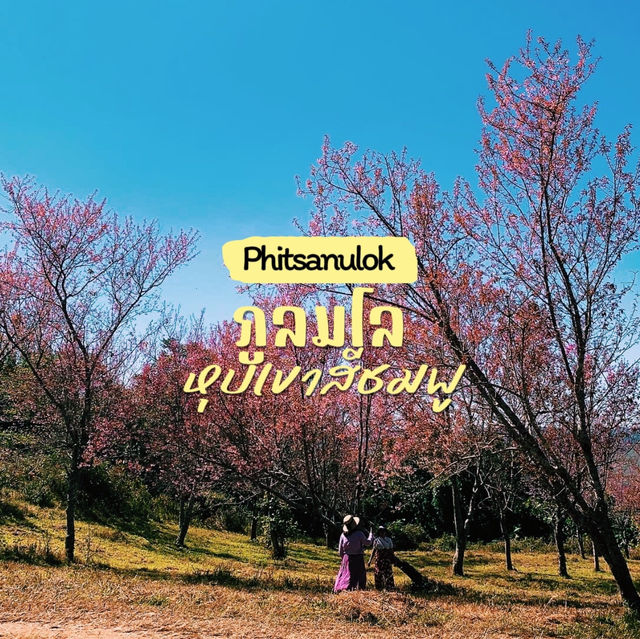 ภูลมโล (อุทยานภูหินร่องกล้า)