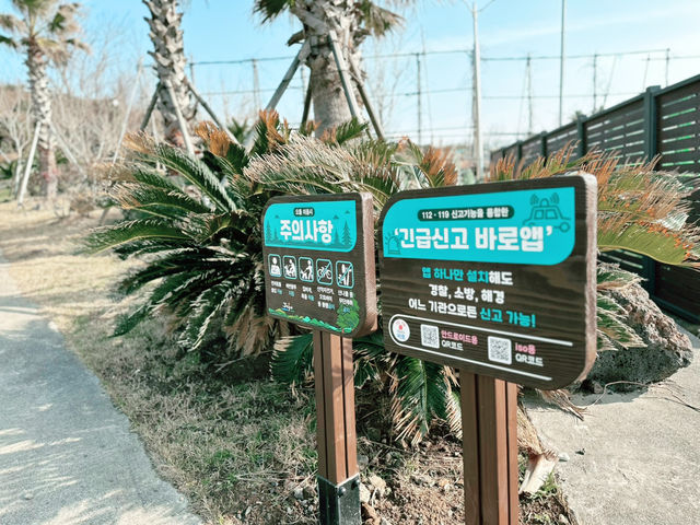 👍👍 이곳은 강력 추천!!