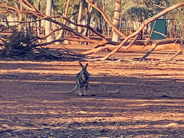 Hammond Park- Natures beauty of Kalgoorlie