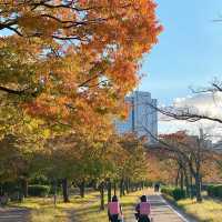 天神中央公園～美麗河濱🍂🎶