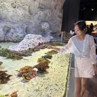 【 超夢幻非一般的海洋體驗 | DMM水族館 】