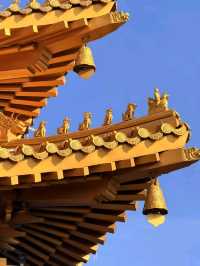 🏯A forbidden temple 