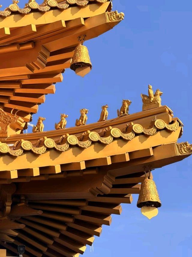 🏯A forbidden temple 