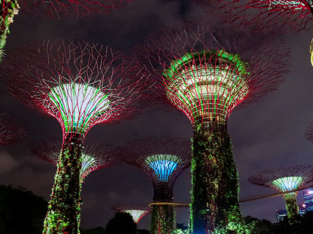 Gardens by the Bay 🌿✨🇸🇬