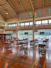 【沖縄】大宜味村 廃校になった小学校で毎年開催されているアートフェスティバル