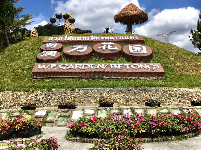Betong Winter Flowers Garben